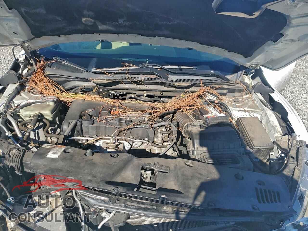 HONDA CIVIC 2017 - 2HGFC2F50HH504539