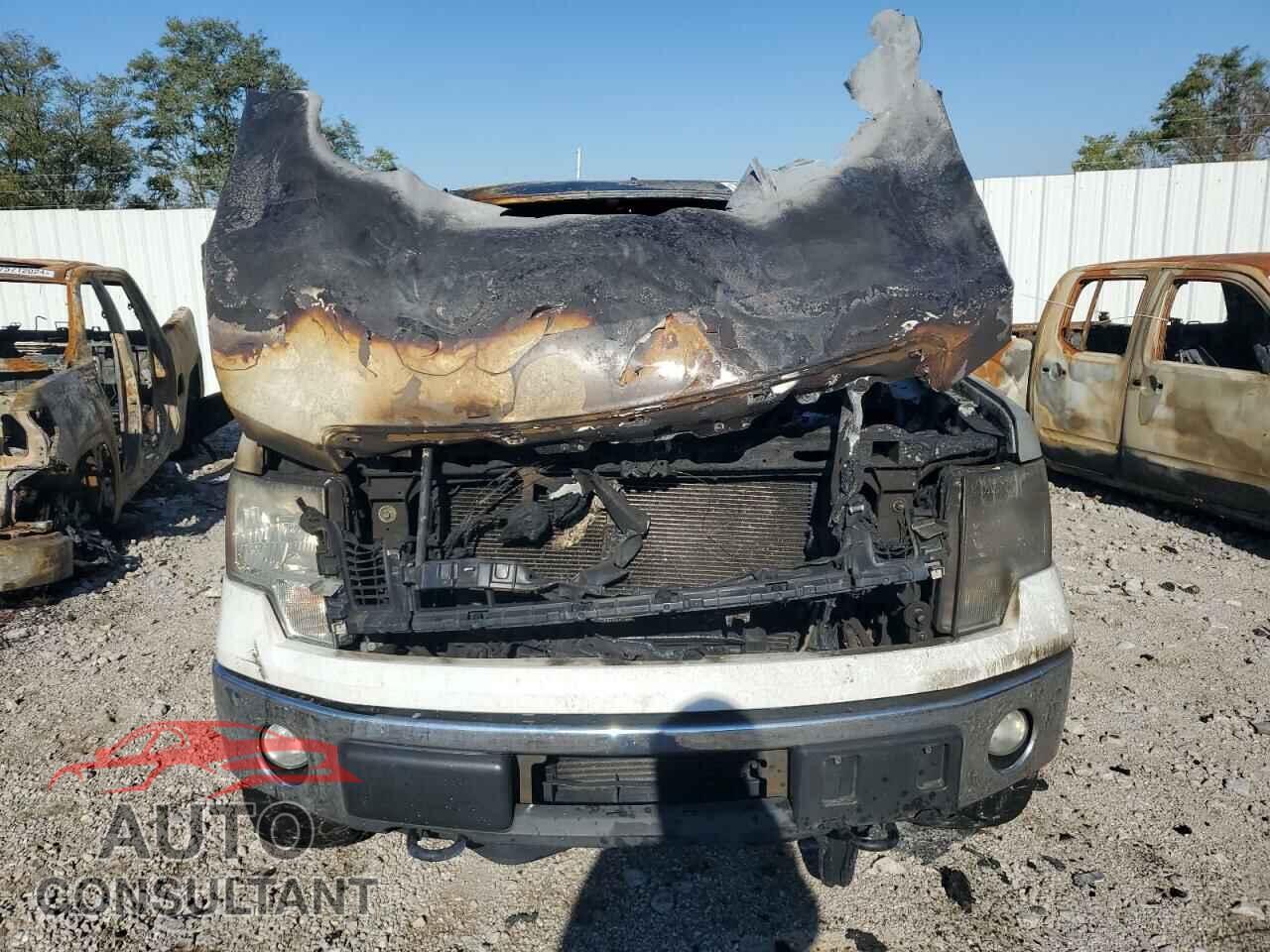 FORD F-150 2011 - 1FTFW1ET4BFB59041