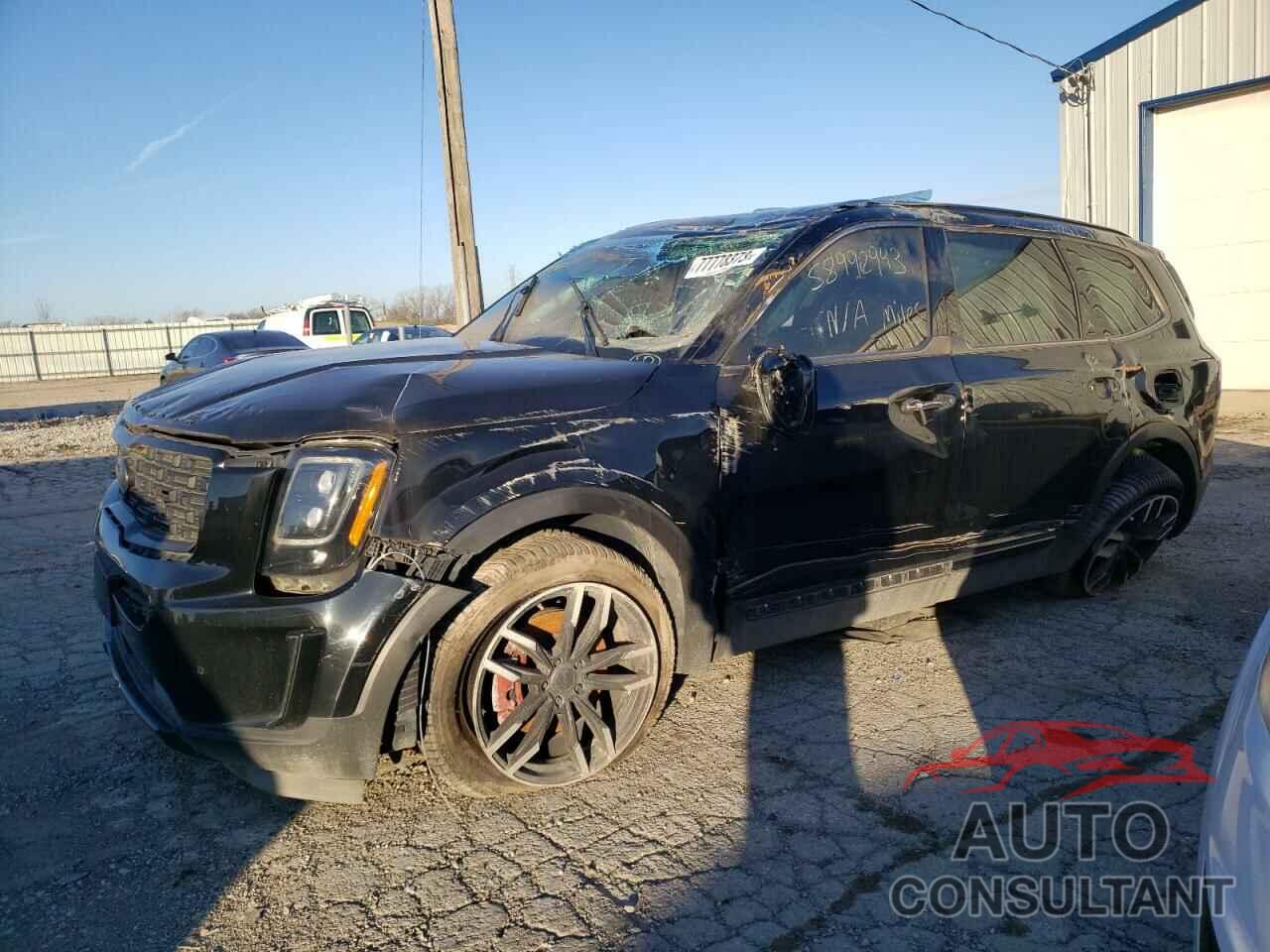 KIA TELLURIDE 2021 - 5XYP5DHC8MG101129