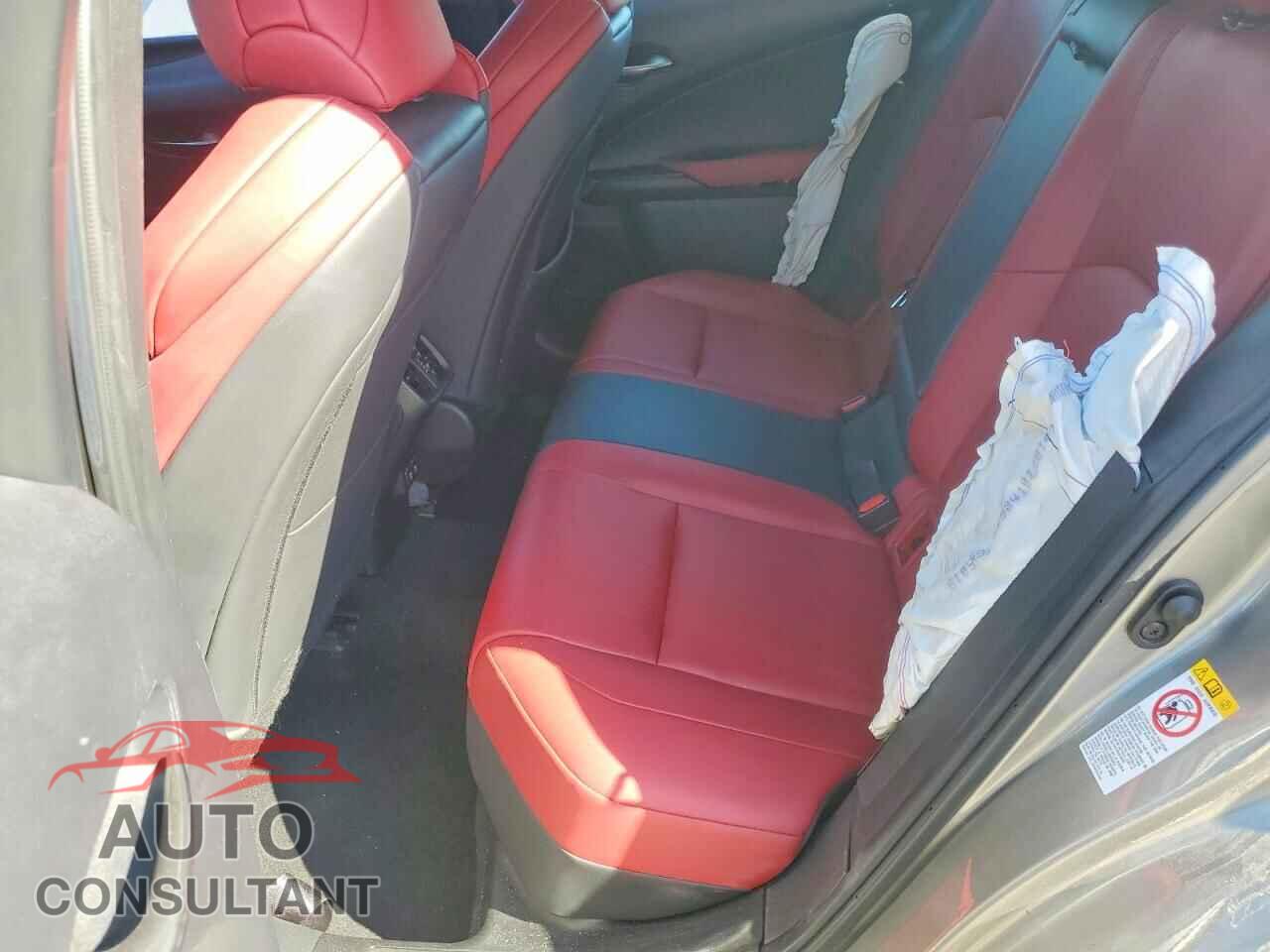 LEXUS UX 200 2019 - JTHY3JBH3K2018601