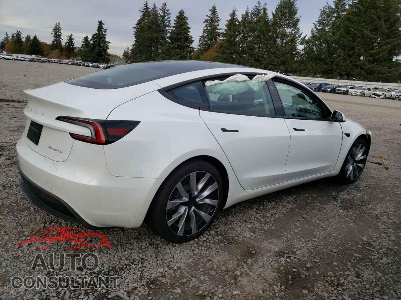 TESLA MODEL 3 2024 - 5YJ3E1EB3RF808971