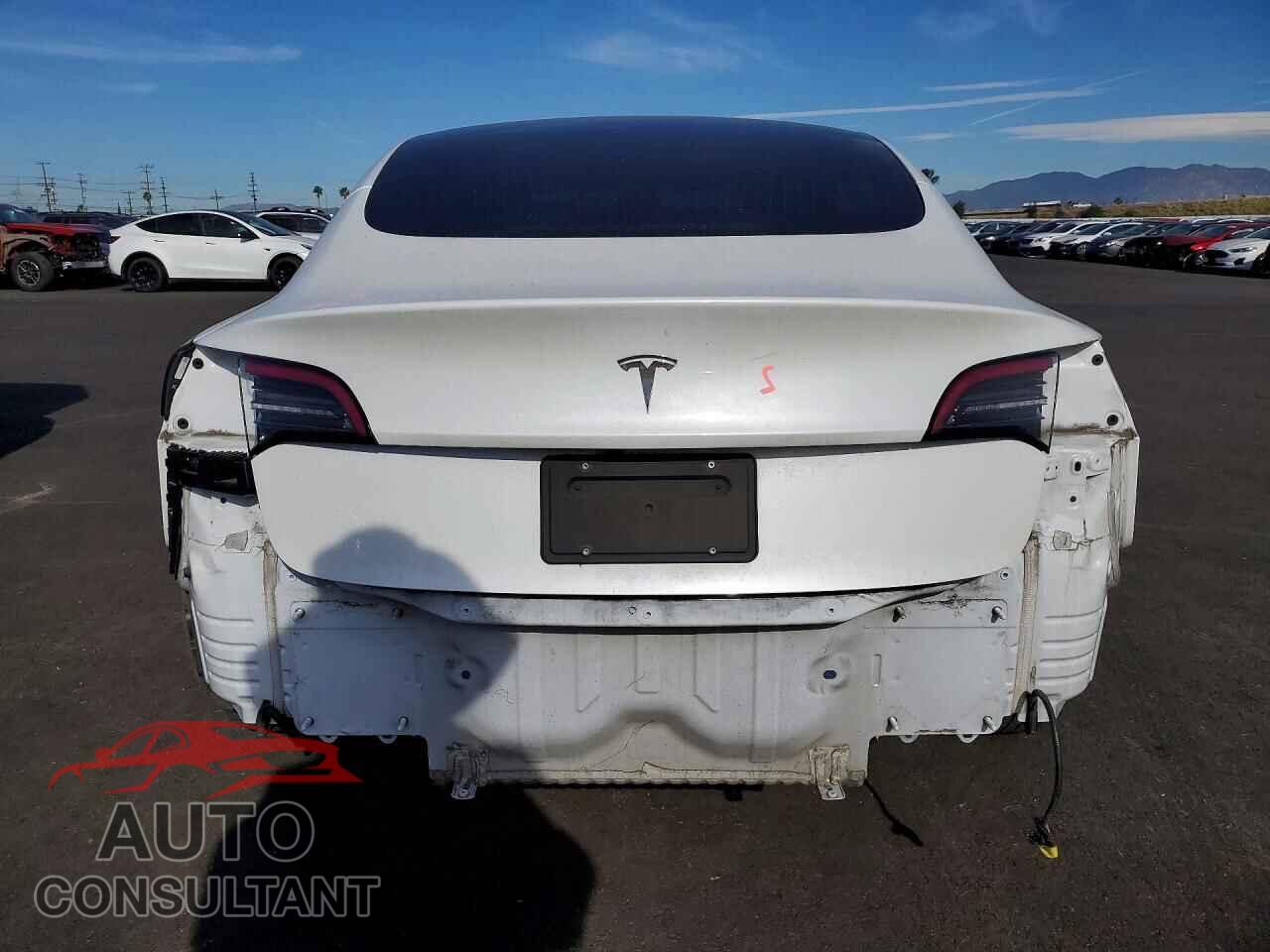 TESLA MODEL 3 2019 - 5YJ3E1EA3KF347283