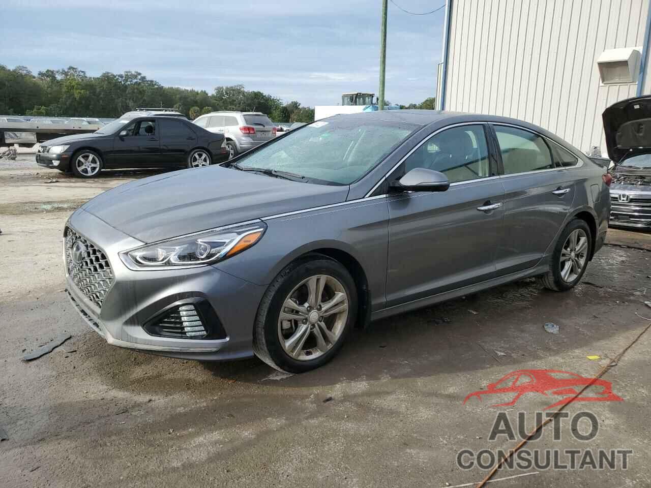 HYUNDAI SONATA 2019 - 5NPE34AF4KH806260