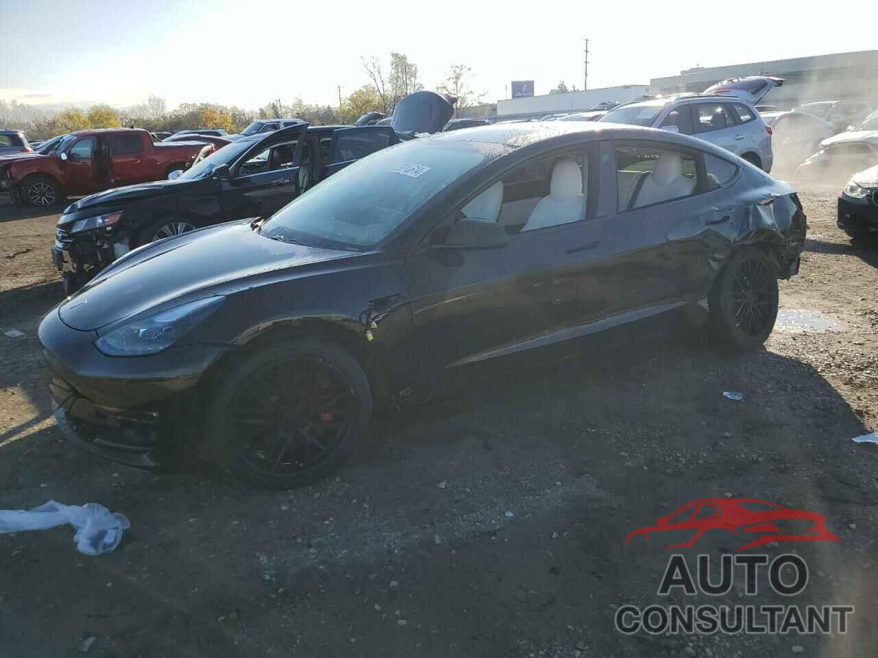 TESLA MODEL 3 2019 - 5YJ3E1EB7KF393322