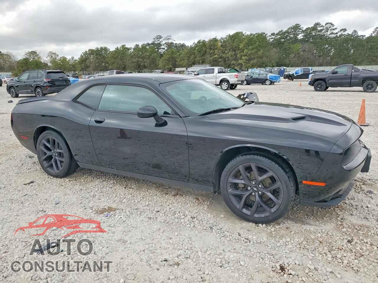 DODGE CHALLENGER 2019 - 2C3CDZAG4KH551455