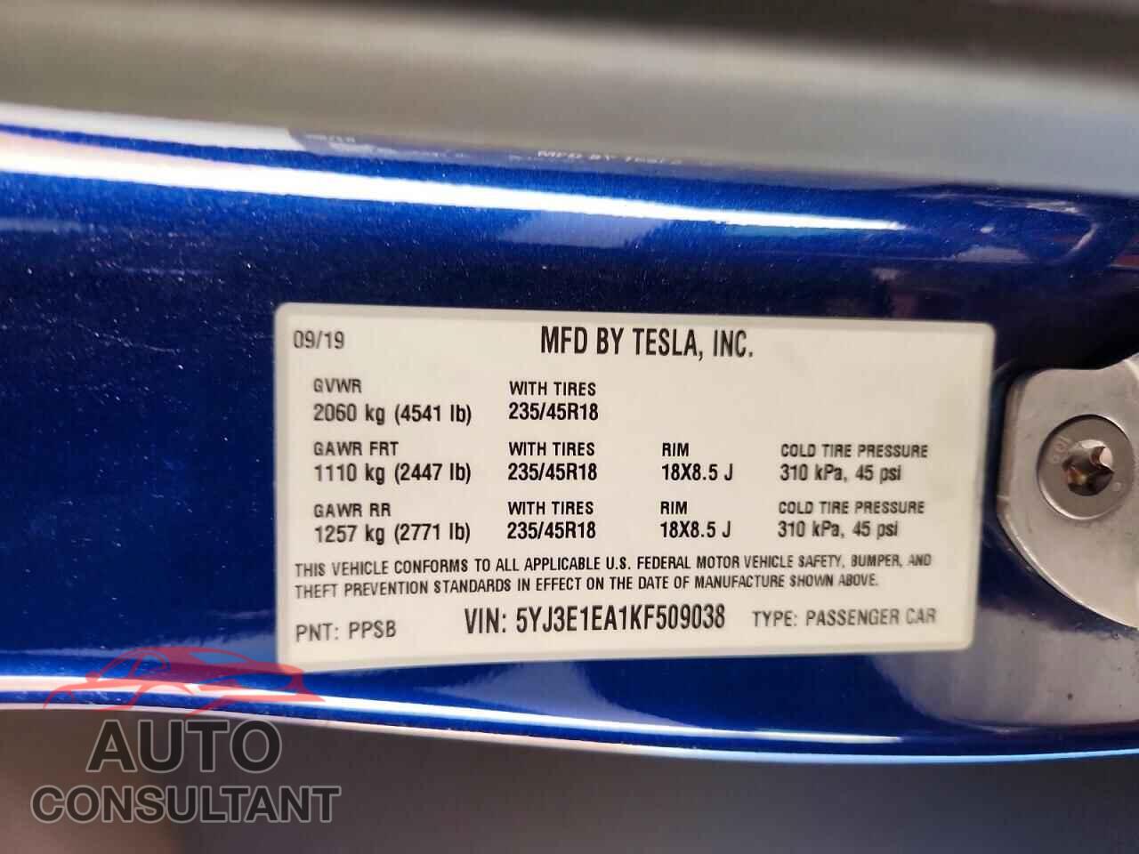 TESLA MODEL 3 2019 - 5YJ3E1EA1KF509038