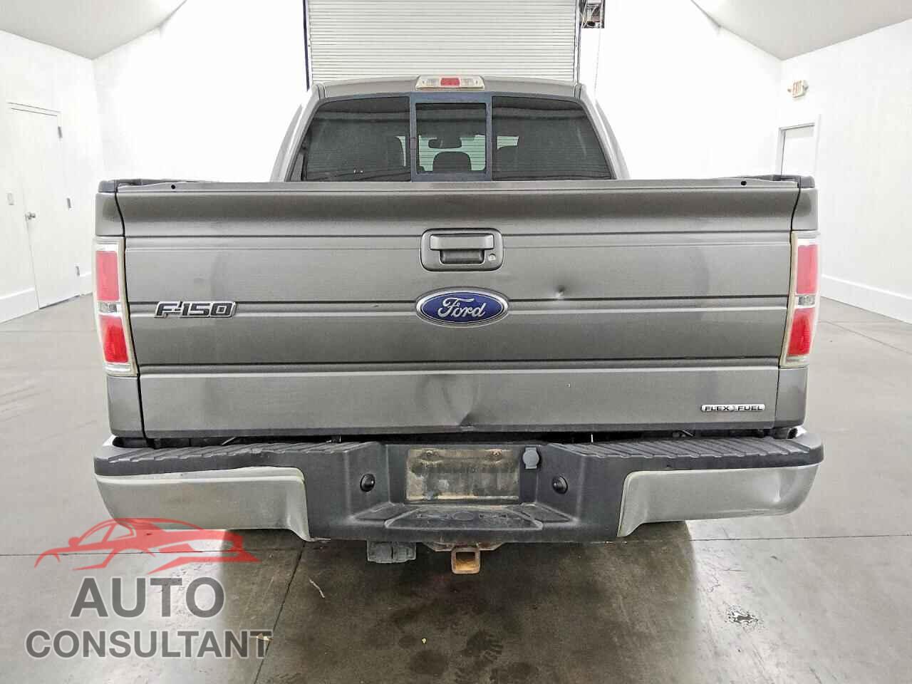 FORD F150 2013 - 1FTFW1CFXDFC79488
