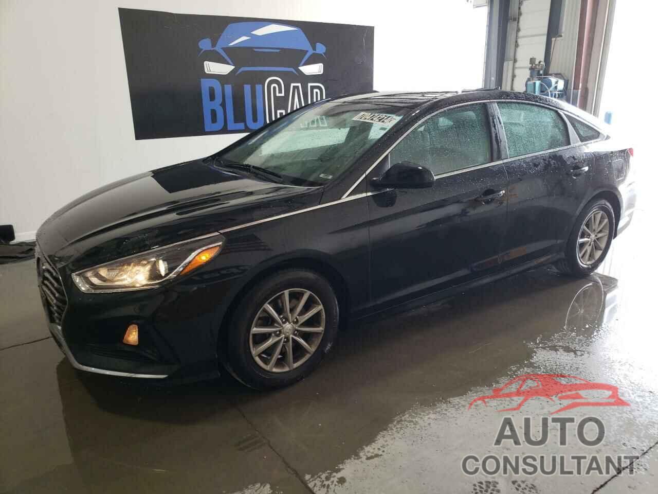 HYUNDAI SONATA 2019 - 5NPE24AFXKH817511