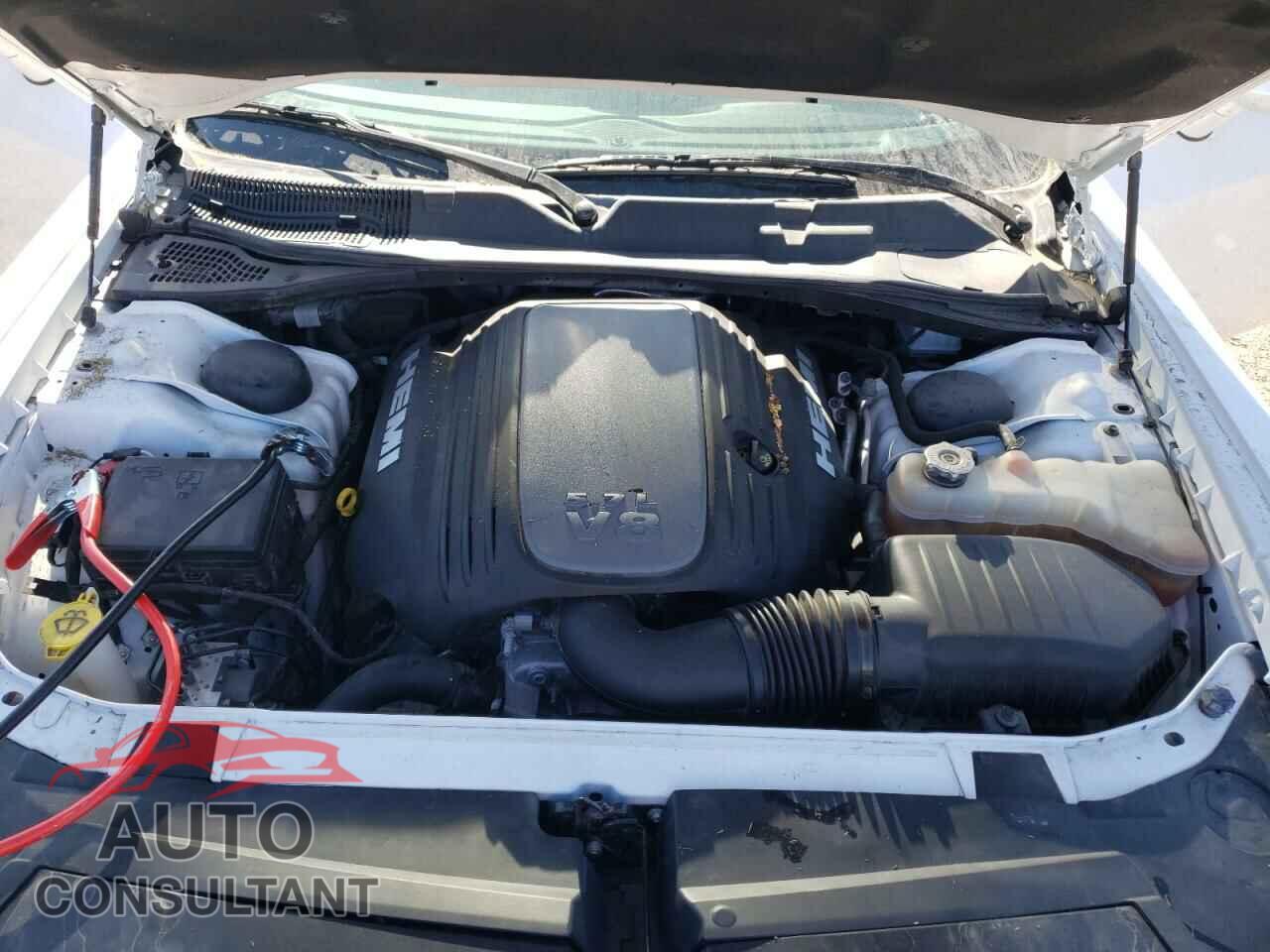 DODGE CHALLENGER 2019 - 2C3CDZBT3KH583308