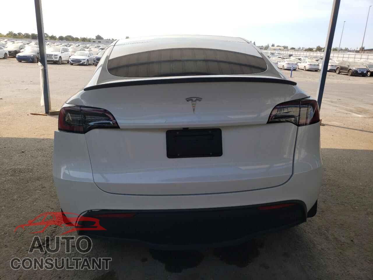 TESLA MODEL Y 2024 - 7SAYGDED2RF122734