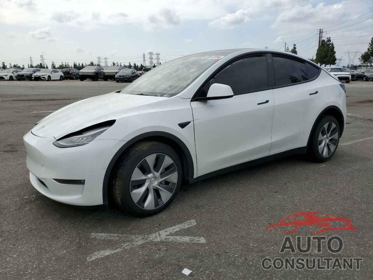 TESLA MODEL Y 2022 - 7SAYGDEE1NF454229