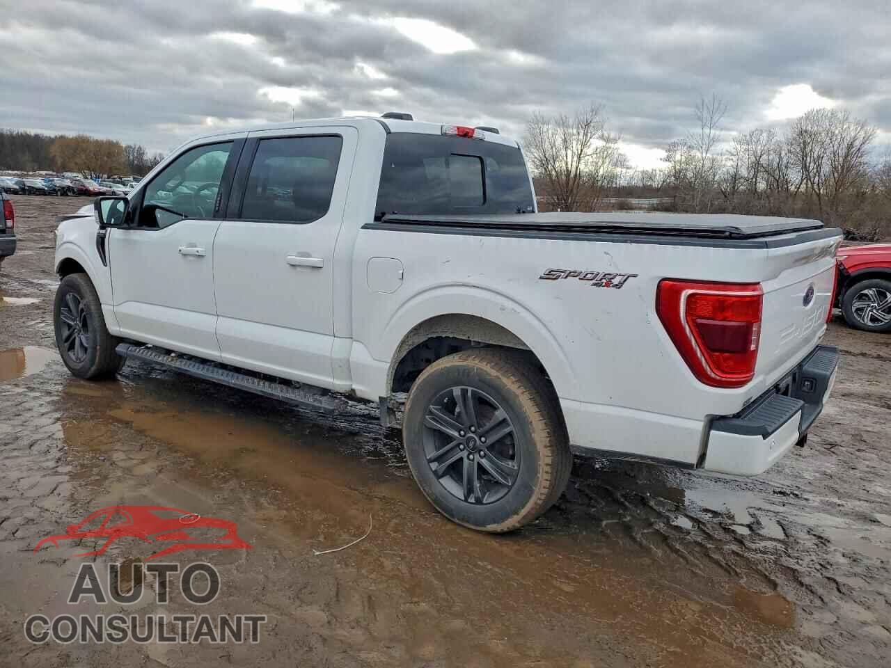 FORD F-150 2021 - 1FTEW1EP8MKD20967