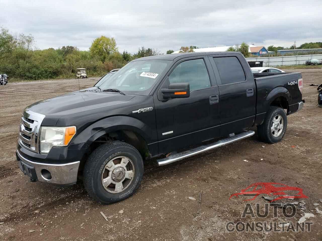 FORD F-150 2011 - 1FTFW1ET8BFB15155