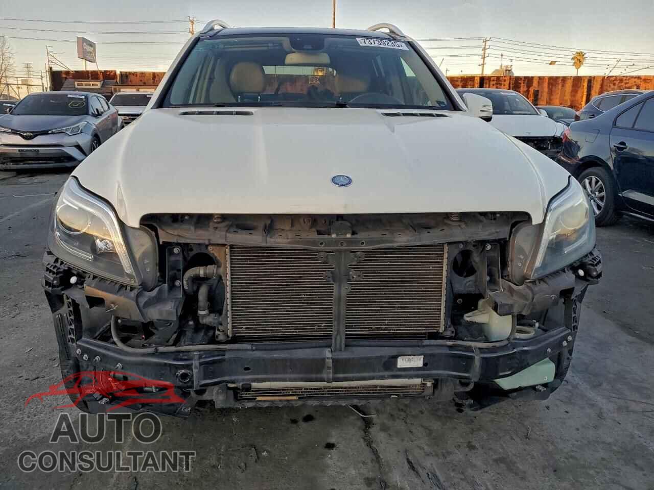 MERCEDES-BENZ GL-CLASS 2013 - 4JGDF7CEXDA249157