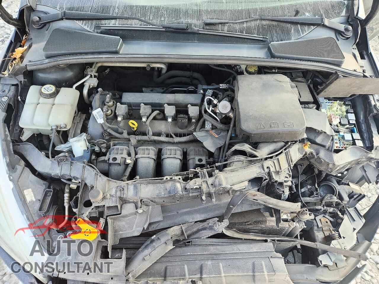 FORD FOCUS 2016 - 1FADP3F26GL392276