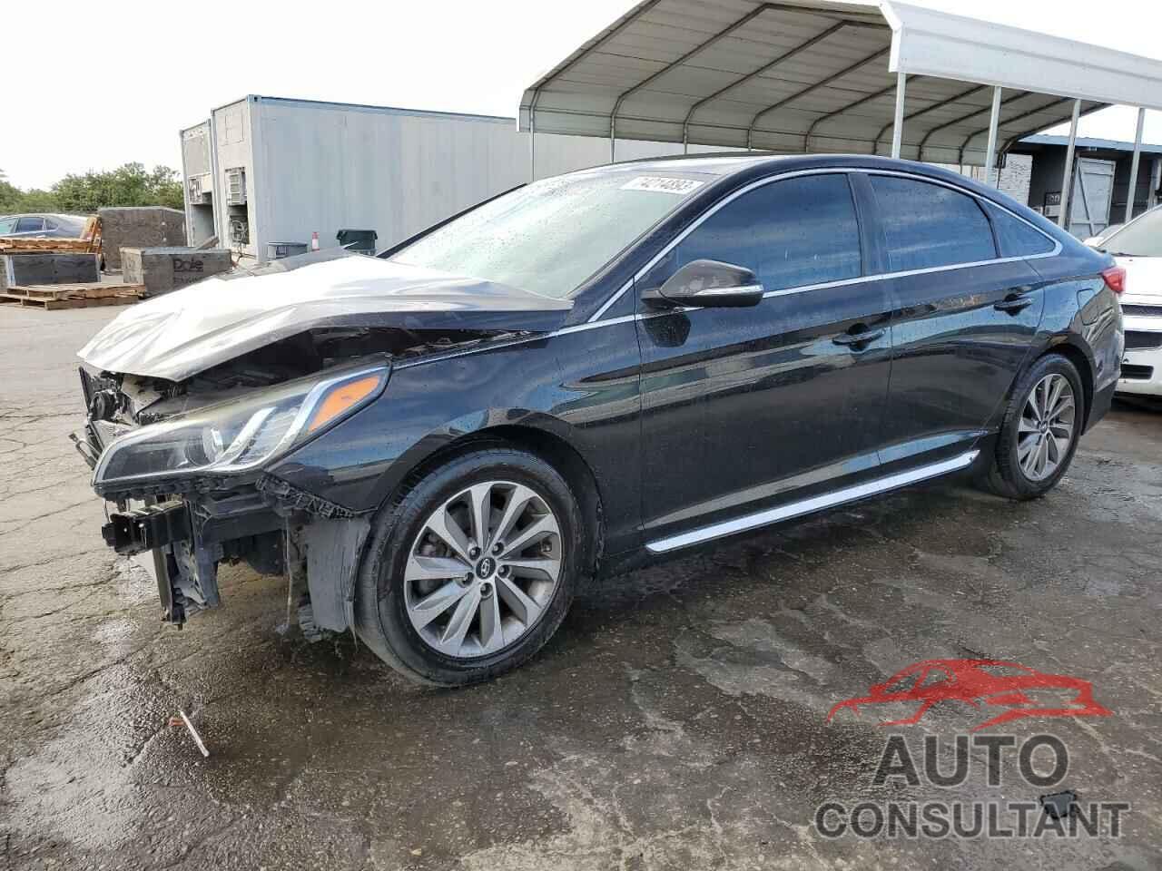 HYUNDAI SONATA 2016 - 5NPE34AF1GH352976