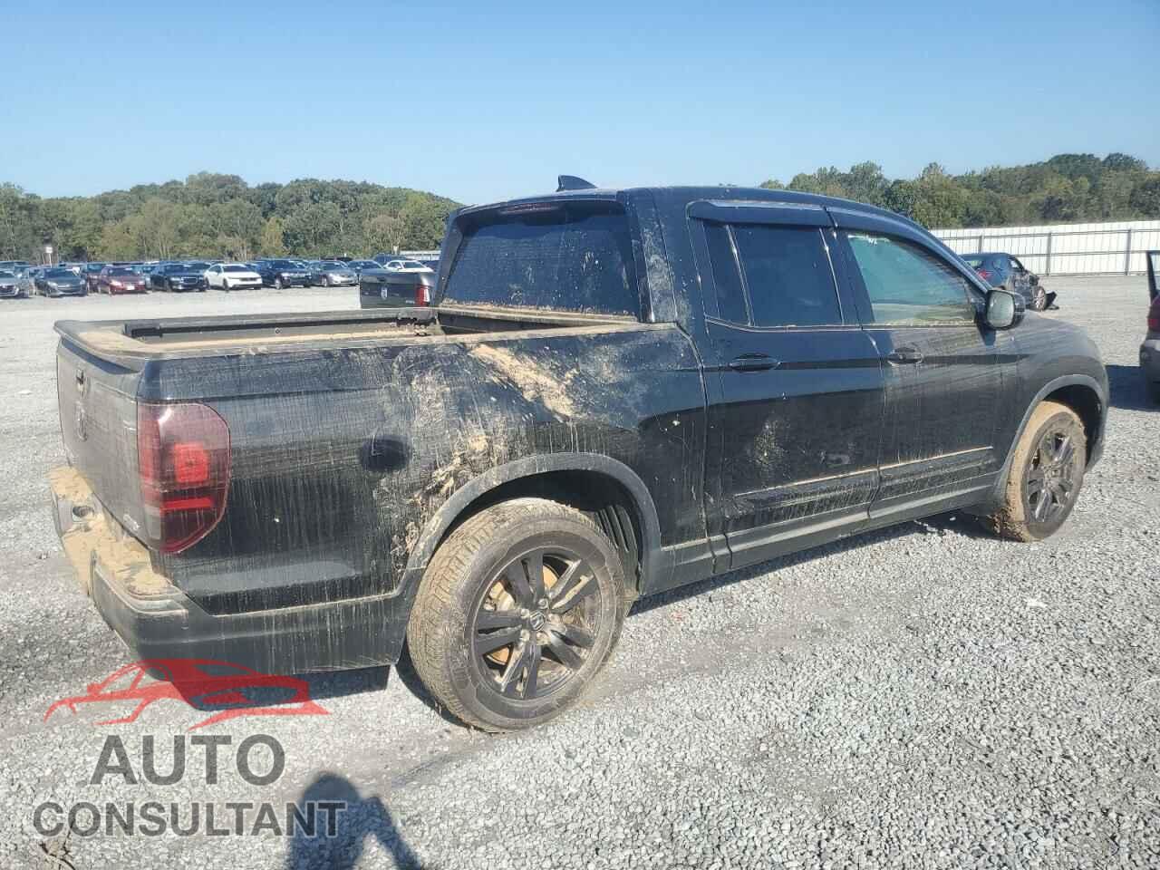 HONDA RIDGELINE 2019 - 5FPYK3F12KB044401