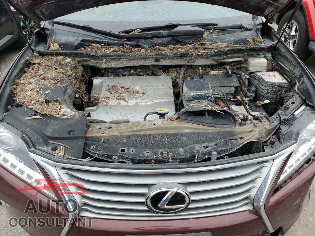 LEXUS RX350 2013 - 2T2BK1BAXDC193148
