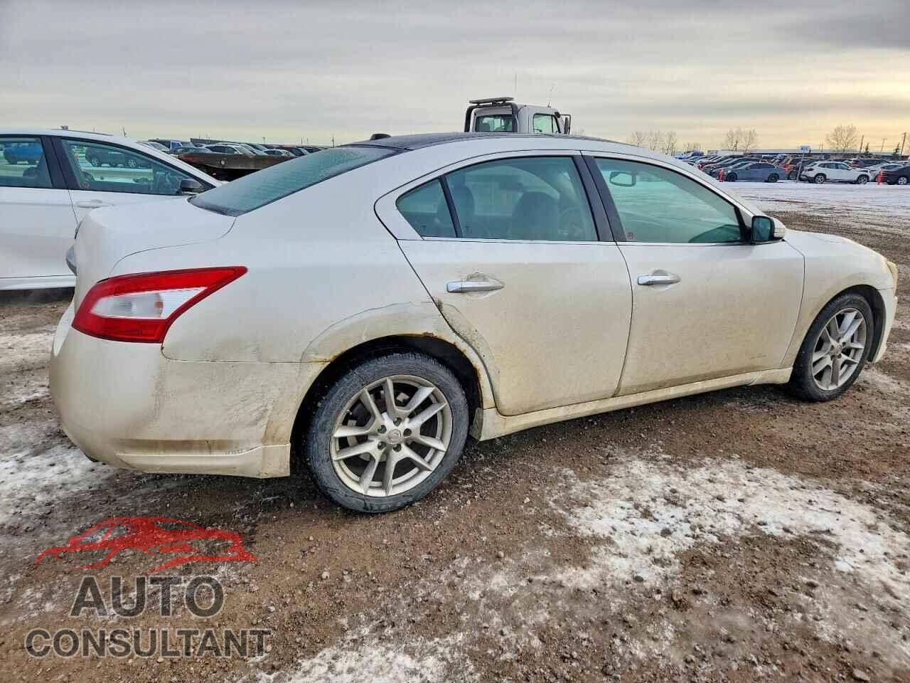 NISSAN MAXIMA 2009 - 1N4AA51E09C858904