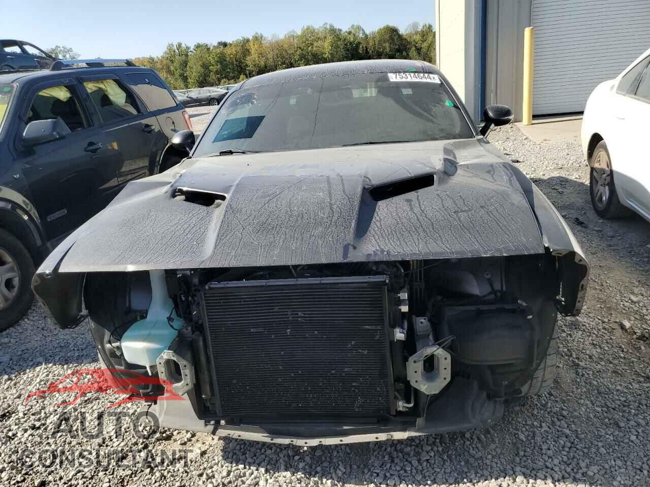 DODGE CHALLENGER 2016 - 2C3CDZAG4GH250255