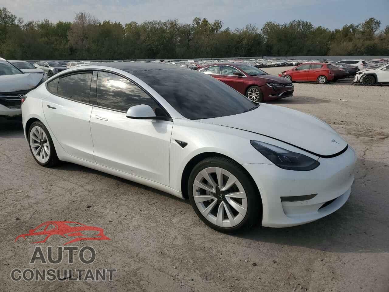 TESLA MODEL 3 2021 - 5YJ3E1EA9MF913465