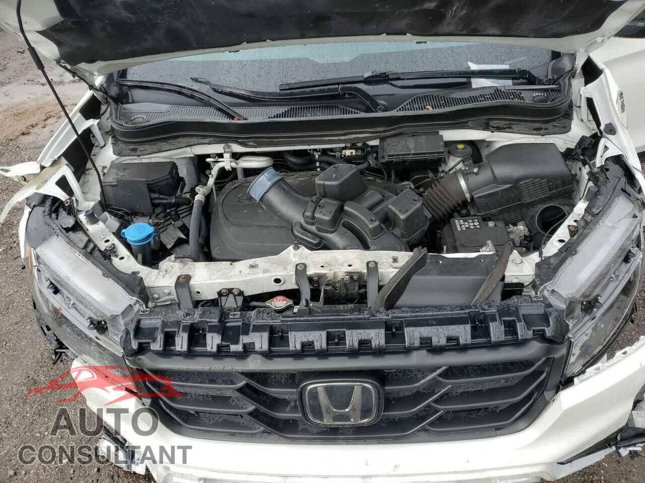 HONDA RIDGELINE 2021 - 5FPYK3F14MB001150