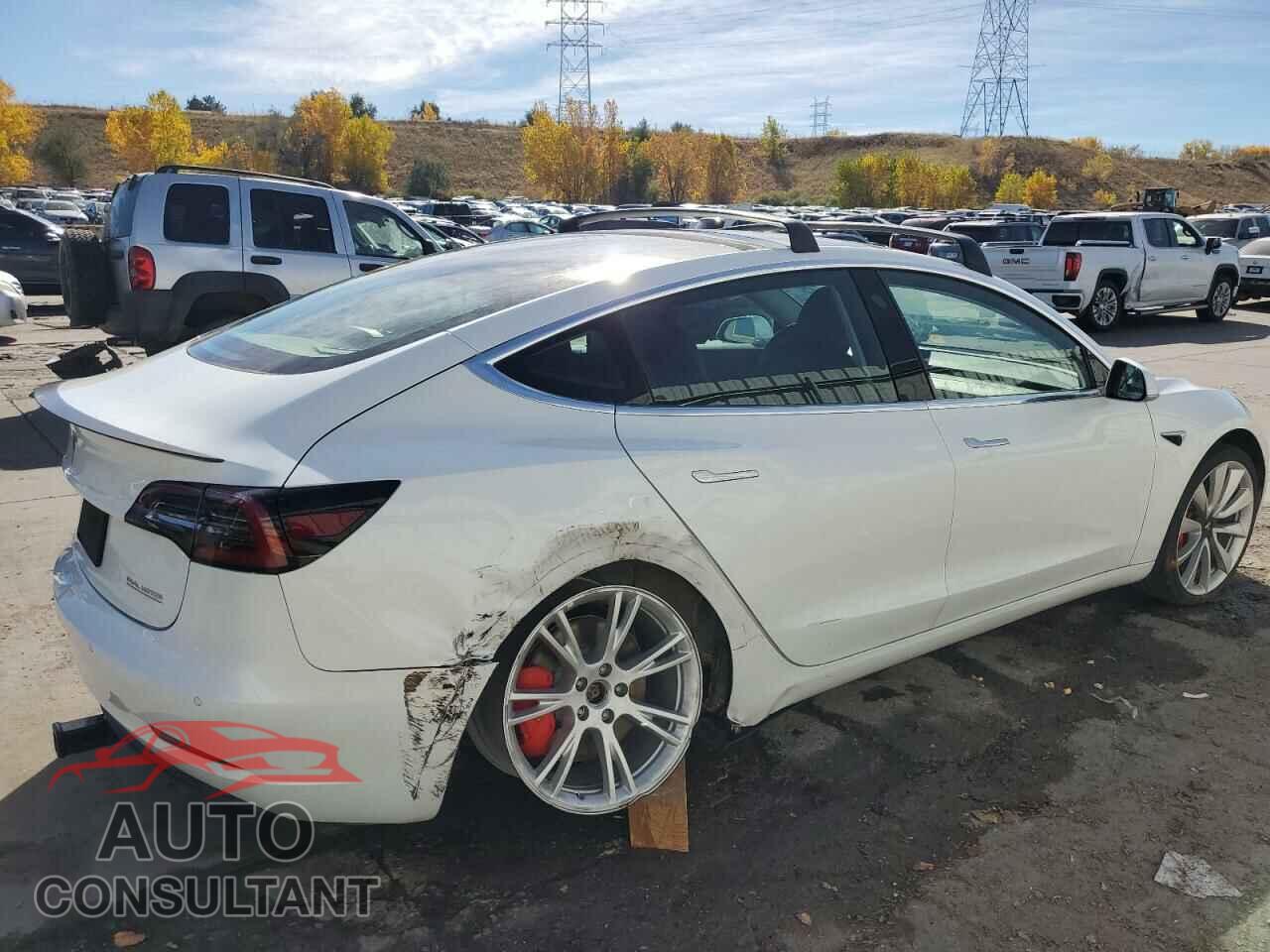 TESLA MODEL 3 2019 - 5YJ3E1EB8KF393250