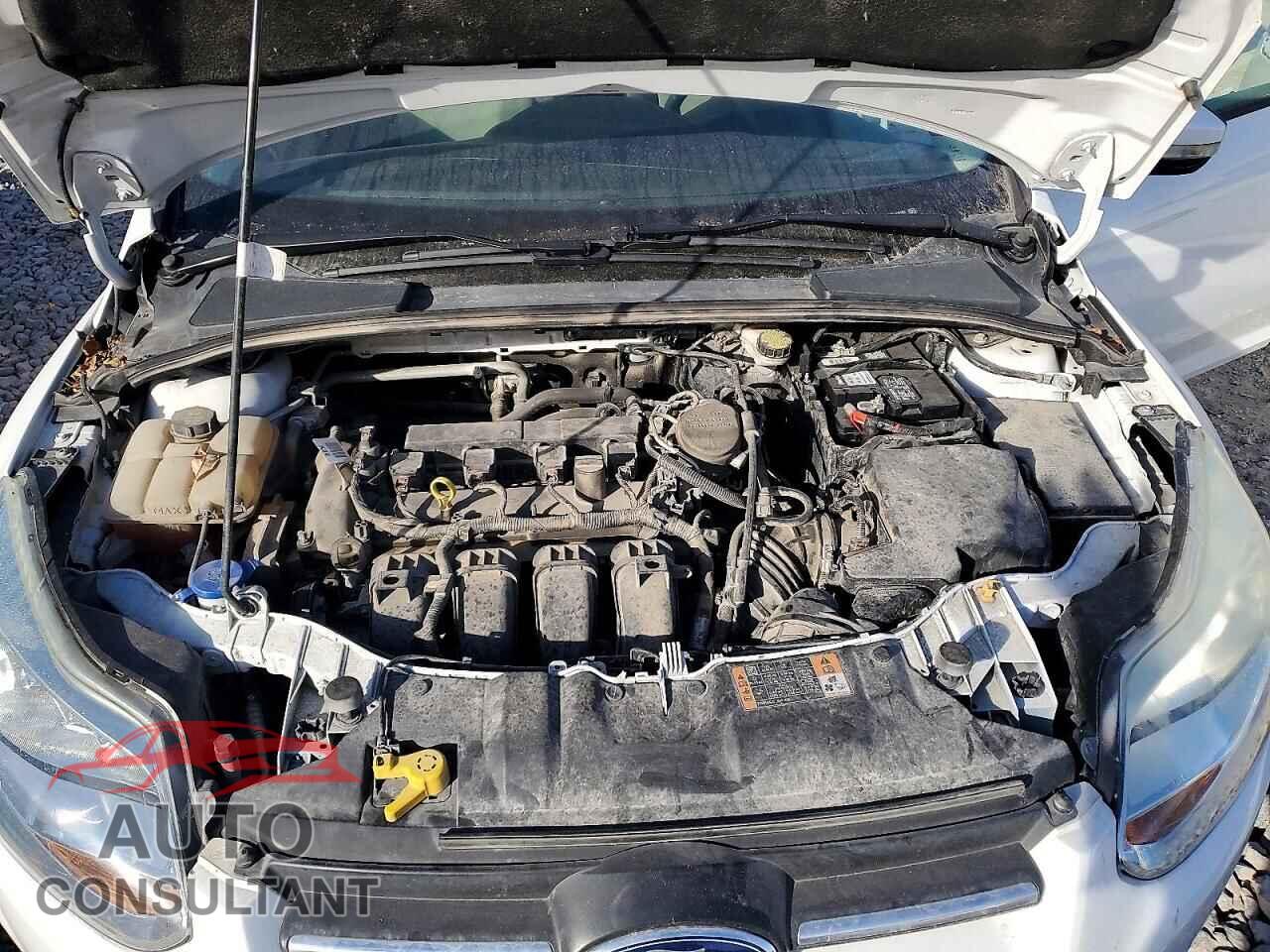 FORD FOCUS 2014 - 1FADP3K26EL426185