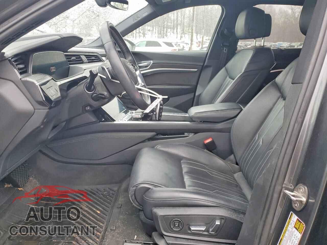 AUDI E-TRON 2019 - WA1VAAGE4KB006847