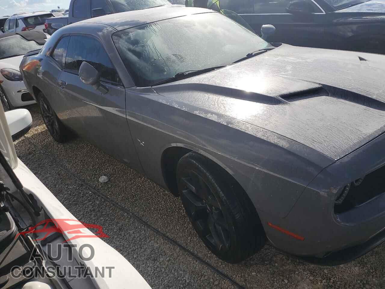 DODGE CHALLENGER 2019 - 2C3CDZAG1KH565541