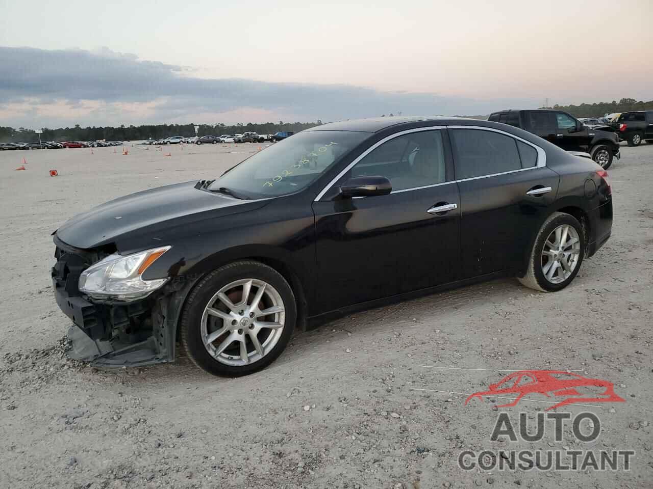 NISSAN MAXIMA 2010 - 1N4AA5AP6AC821765