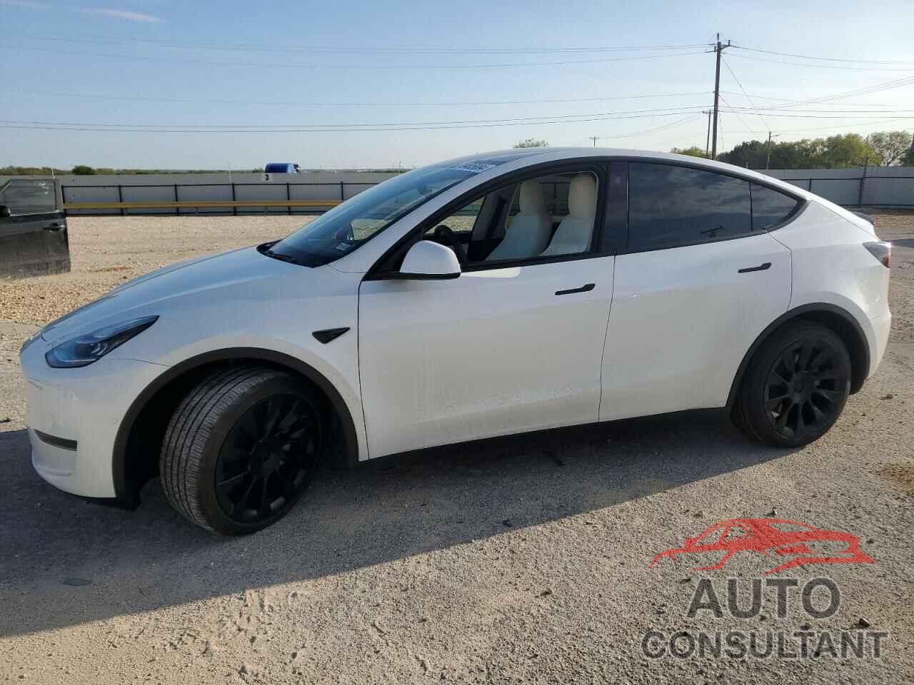 TESLA MODEL Y 2021 - 5YJYGDEE3MF081044