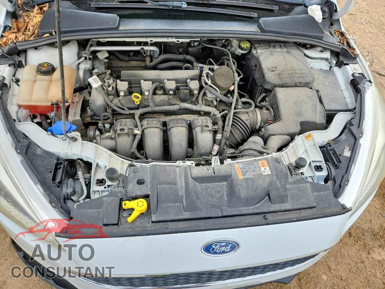 FORD FOCUS 2016 - 1FADP3F23GL303053