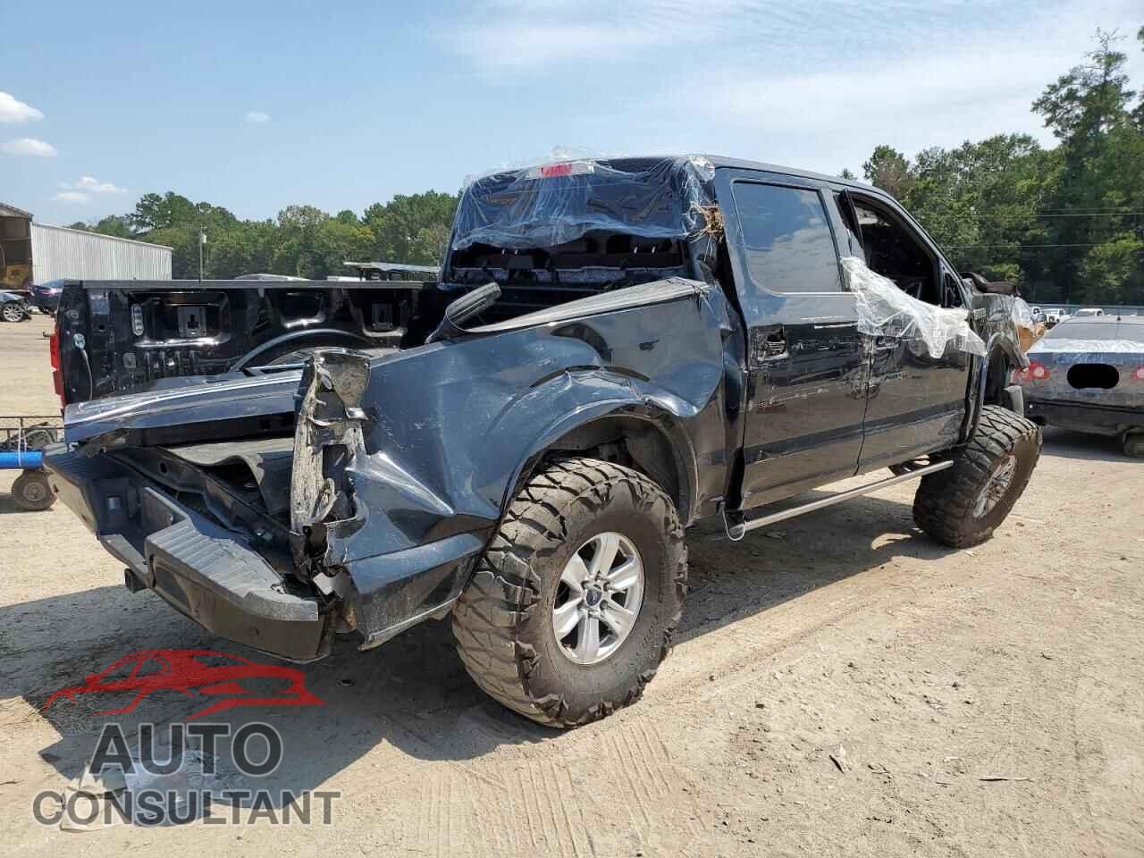 FORD F-150 2016 - 1FTEW1CF9GFA96681