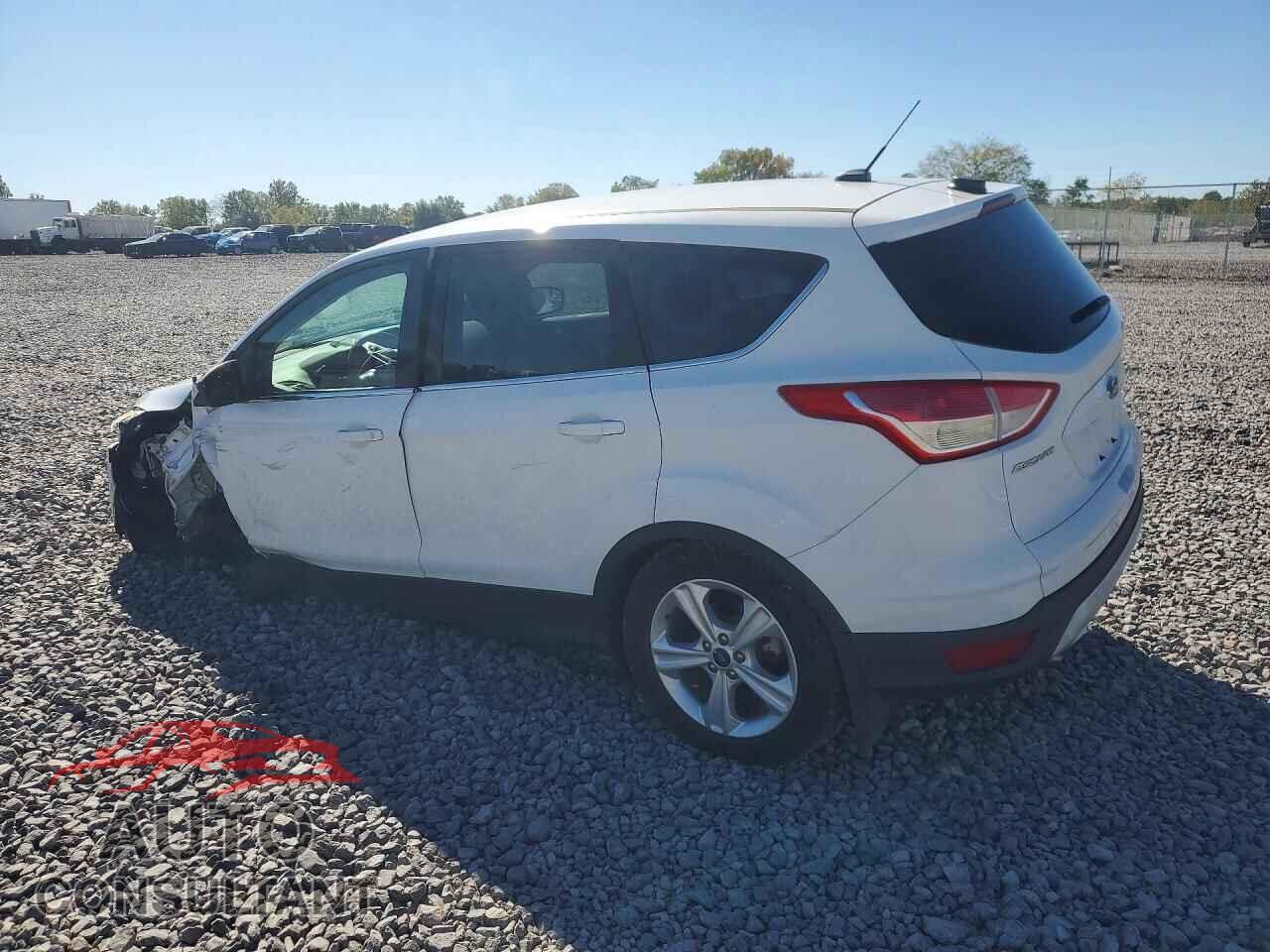 FORD ESCAPE 2014 - 1FMCU9GXXEUC38295
