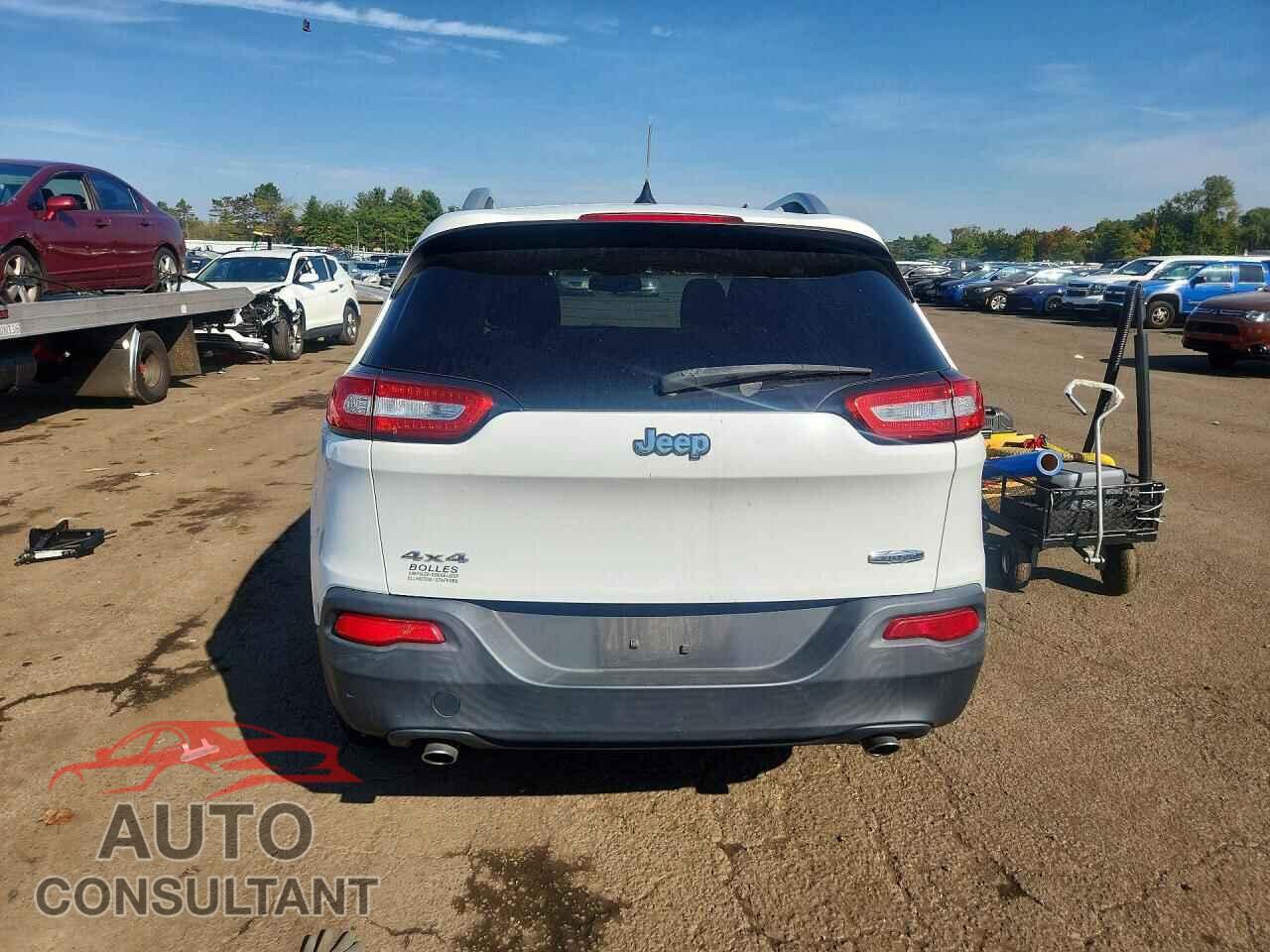 JEEP CHEROKEE 2014 - 1C4PJMCS2EW192431