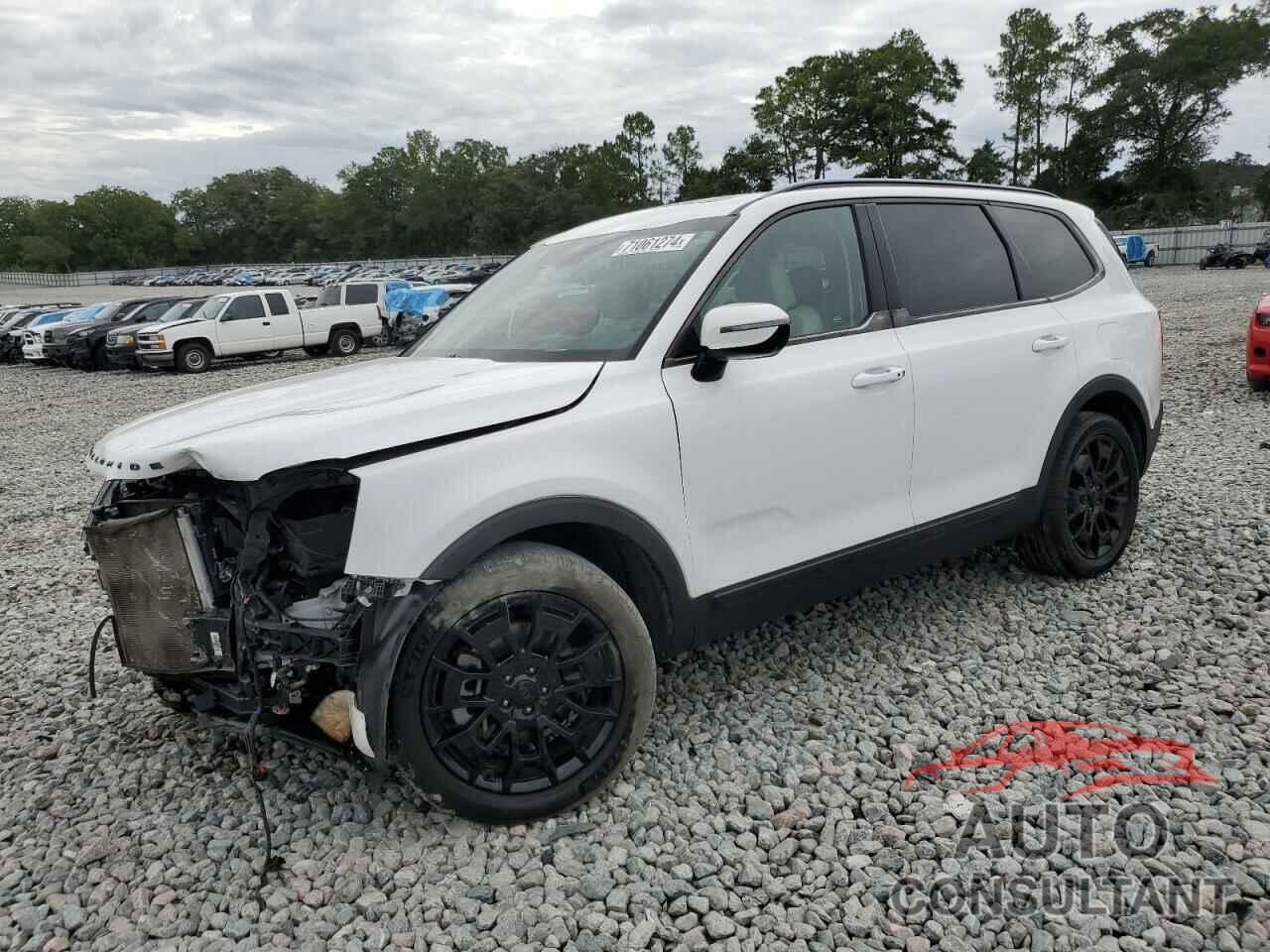 KIA TELLURIDE 2021 - 5XYP5DHC5MG119541