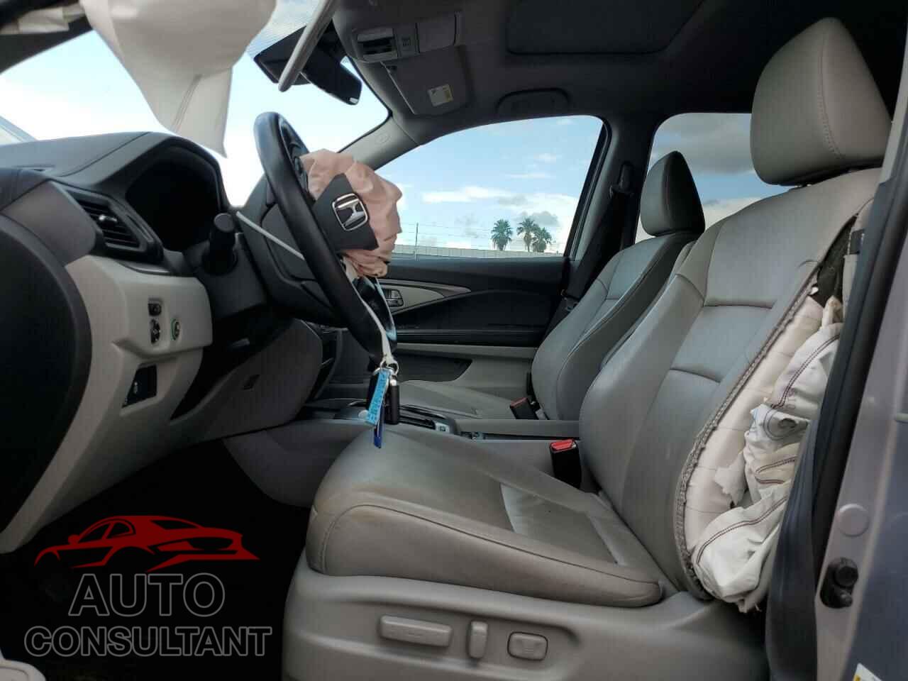 HONDA PILOT 2019 - 5FNYF5H53KB044691