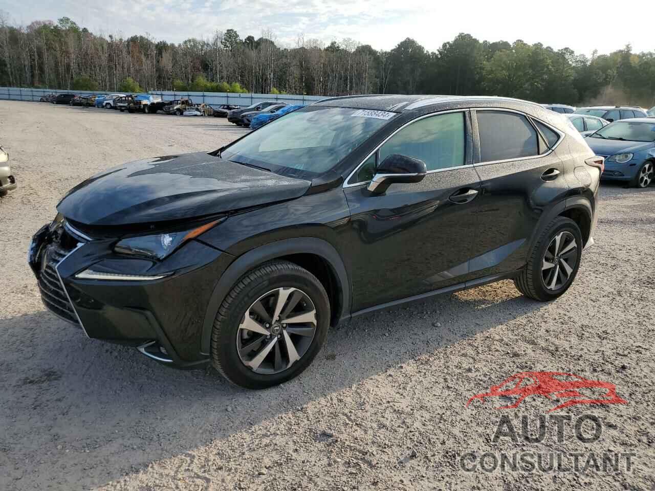 LEXUS NX 2019 - JTJBARBZ5K2216050