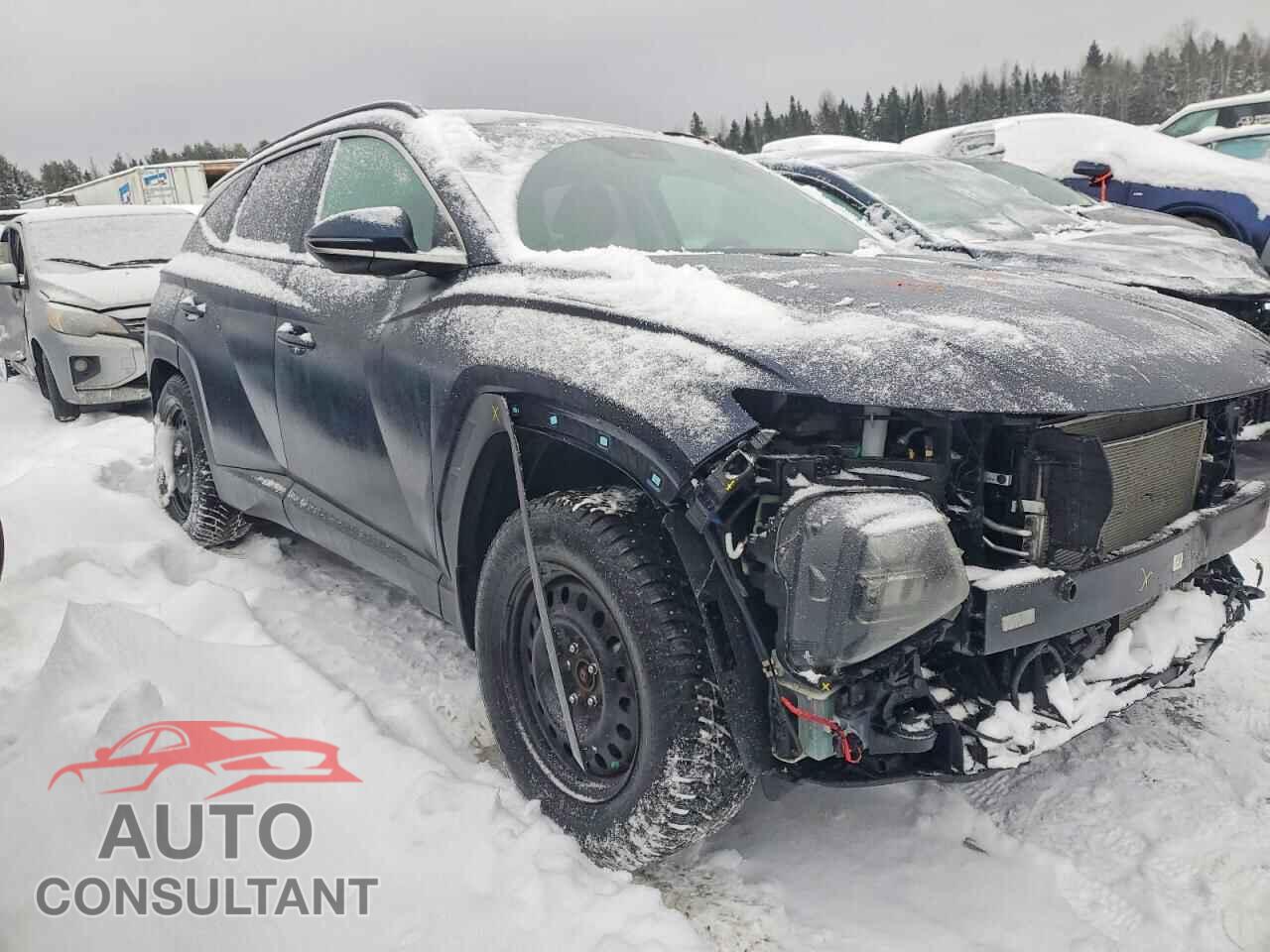 HYUNDAI TUCSON 2023 - KM8JCCAEXPU255227
