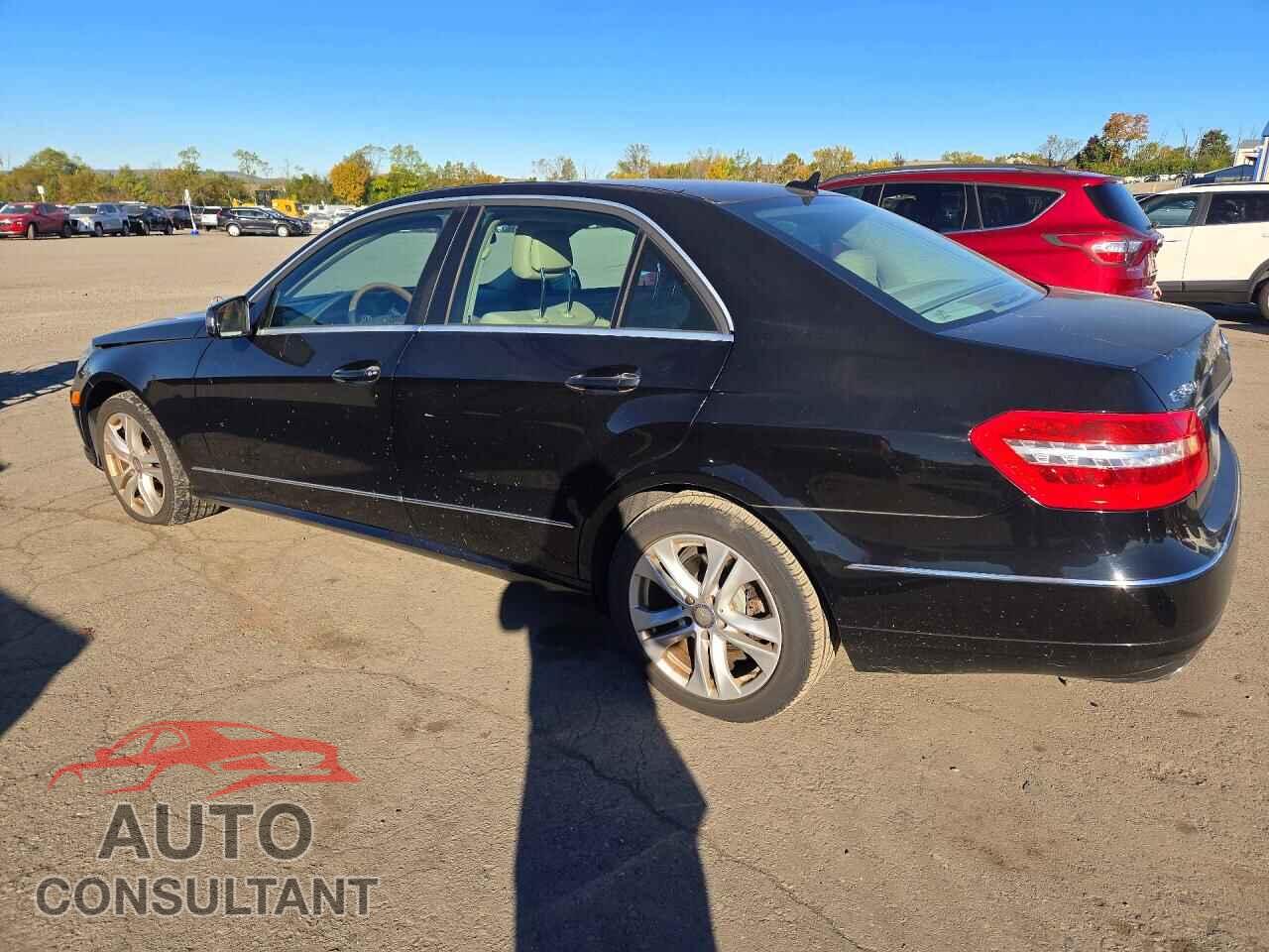 MERCEDES-BENZ E-CLASS 2010 - WDDHF8HB1AA239080