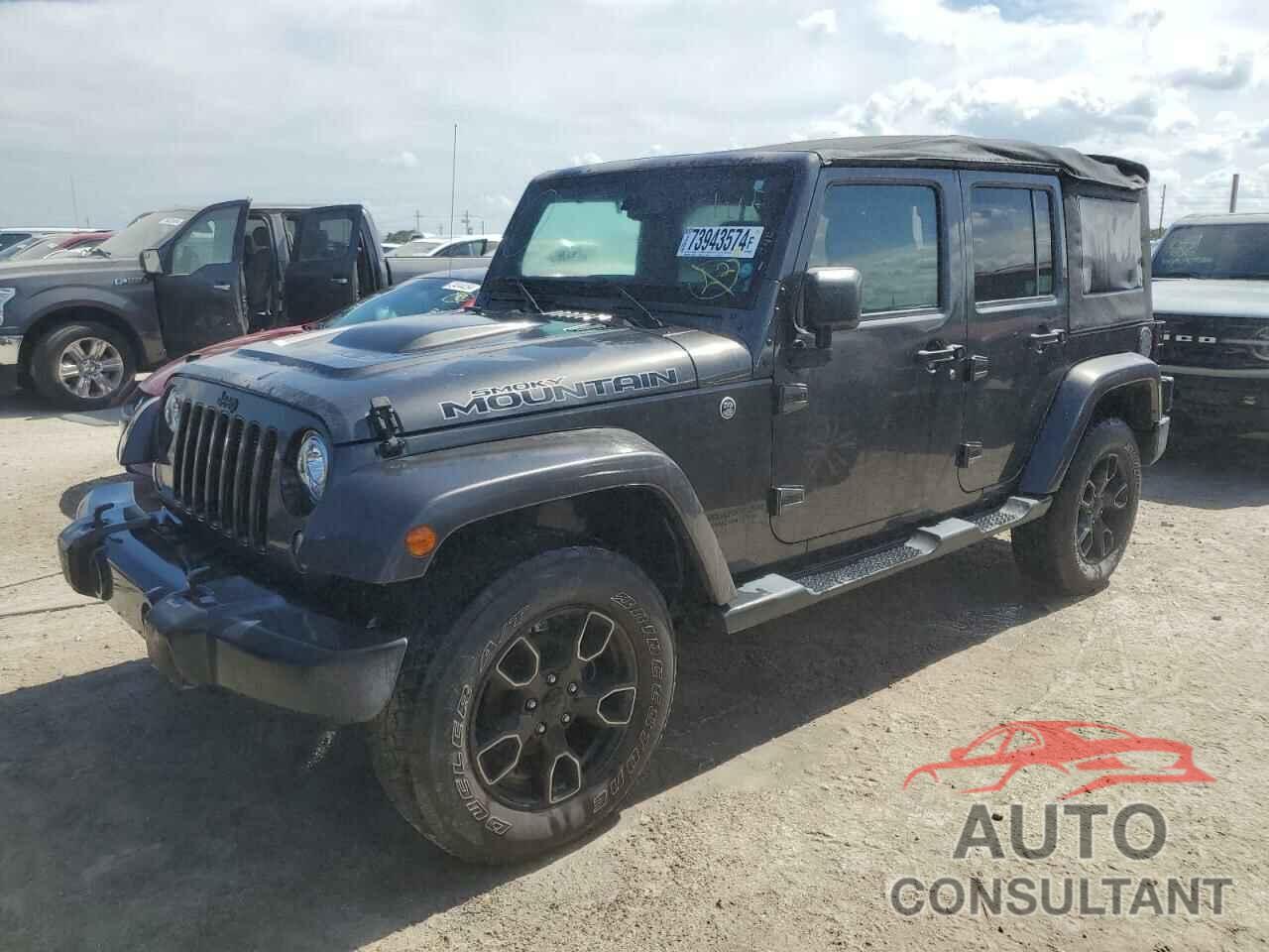 JEEP WRANGLER 2017 - 1C4BJWEG3HL674913