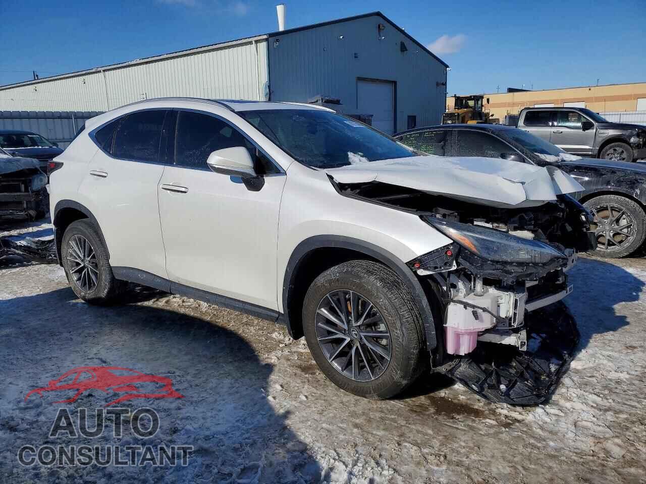 LEXUS NX 350 PRE 2024 - 2T2GGCEZ2RC035611