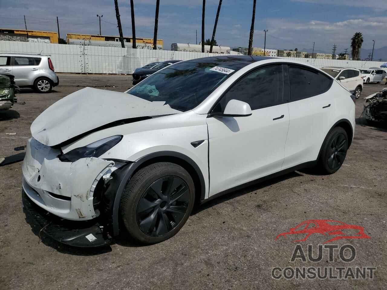 TESLA MODEL Y 2024 - 7SAYGDEE5RF131663