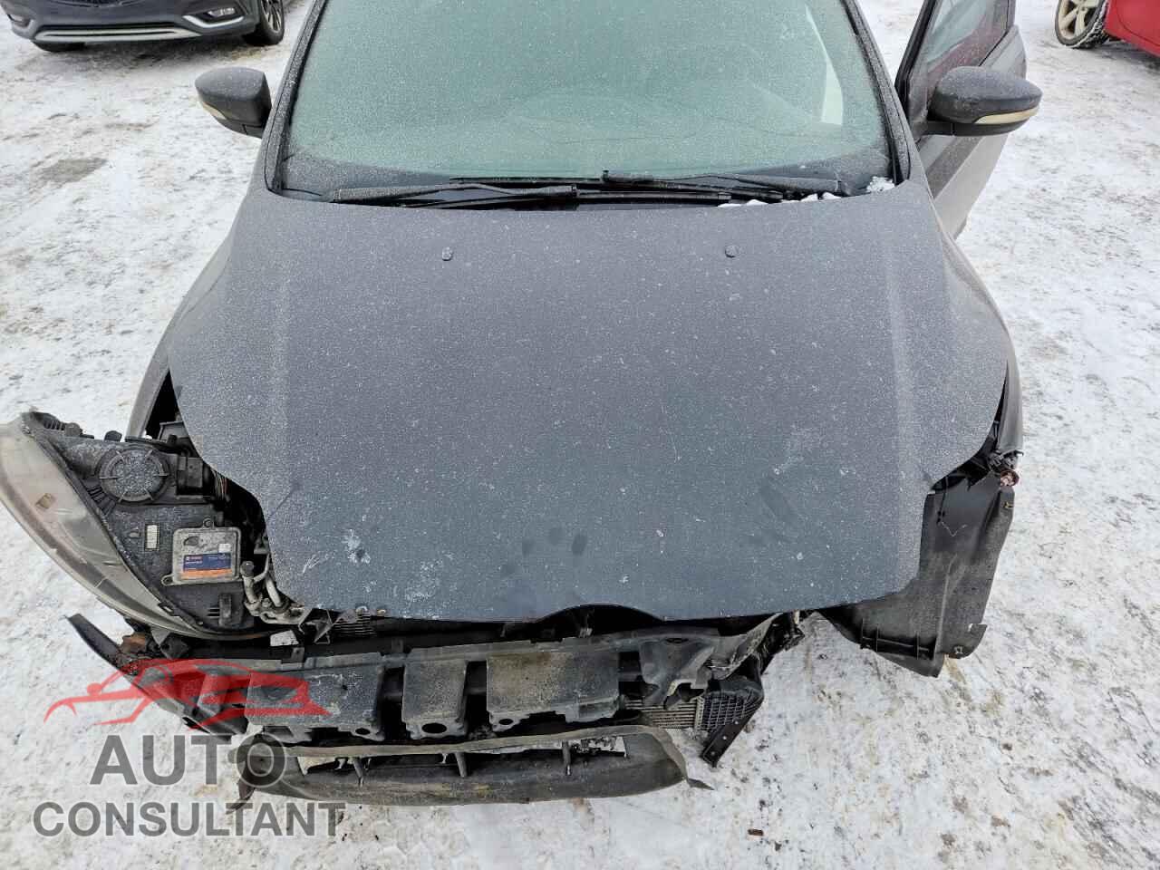 FORD FOCUS 2013 - 1FADP3L95DL201945