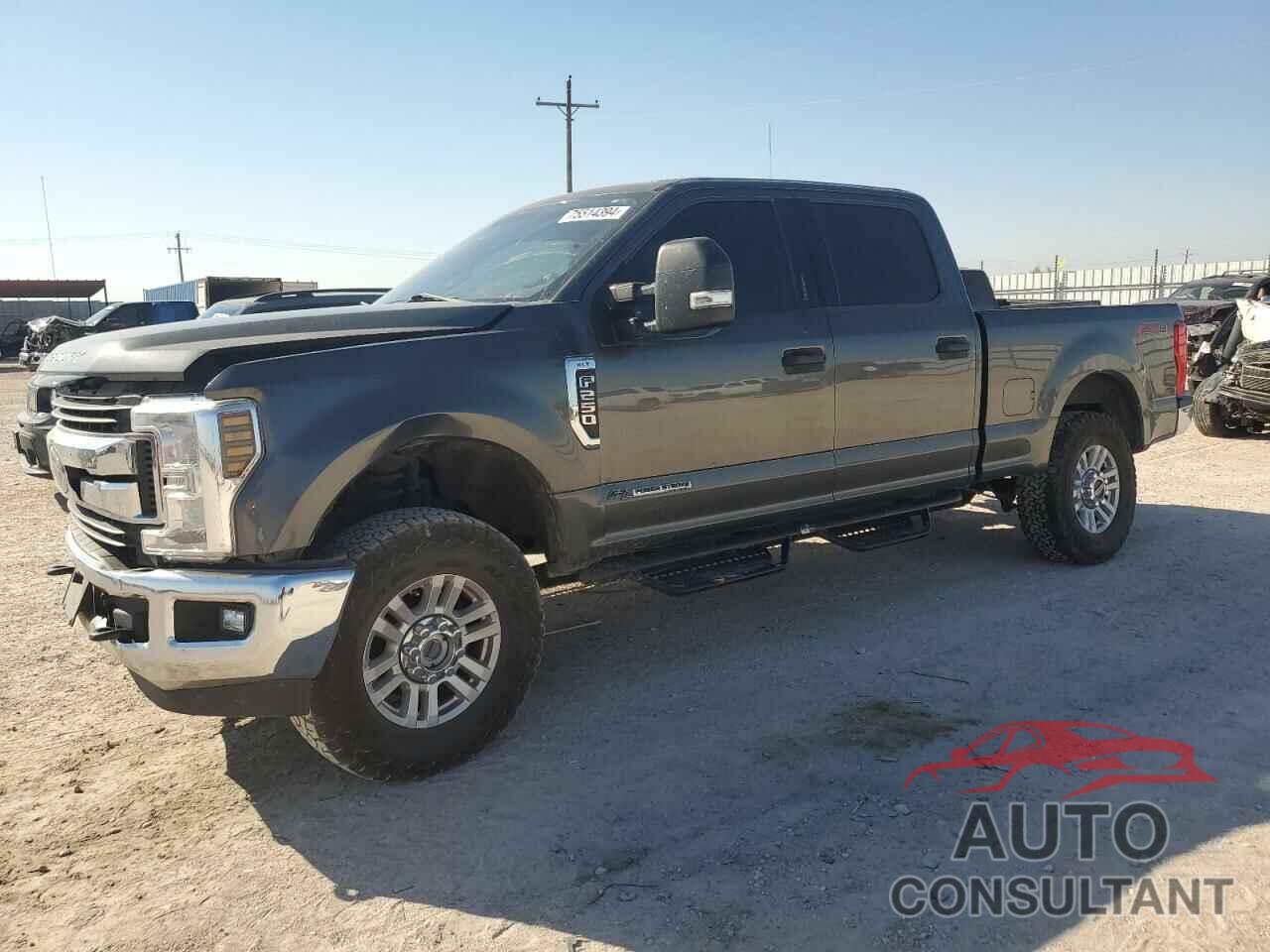 FORD F250 2019 - 1FT7W2BT1KEG74079