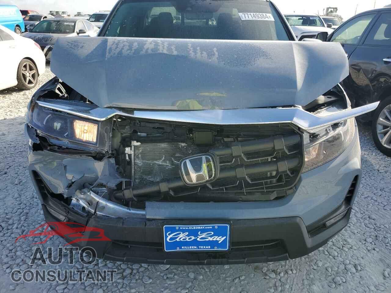 HONDA RIDGELINE 2024 - 5FPYK3F56RB013438