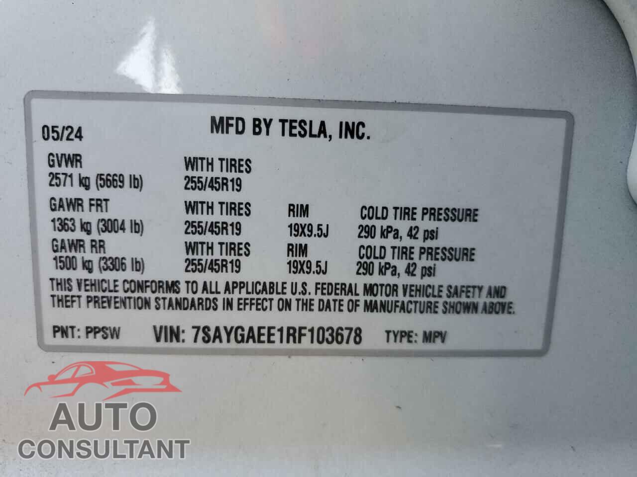 TESLA MODEL Y 2024 - 7SAYGAEE1RF103678