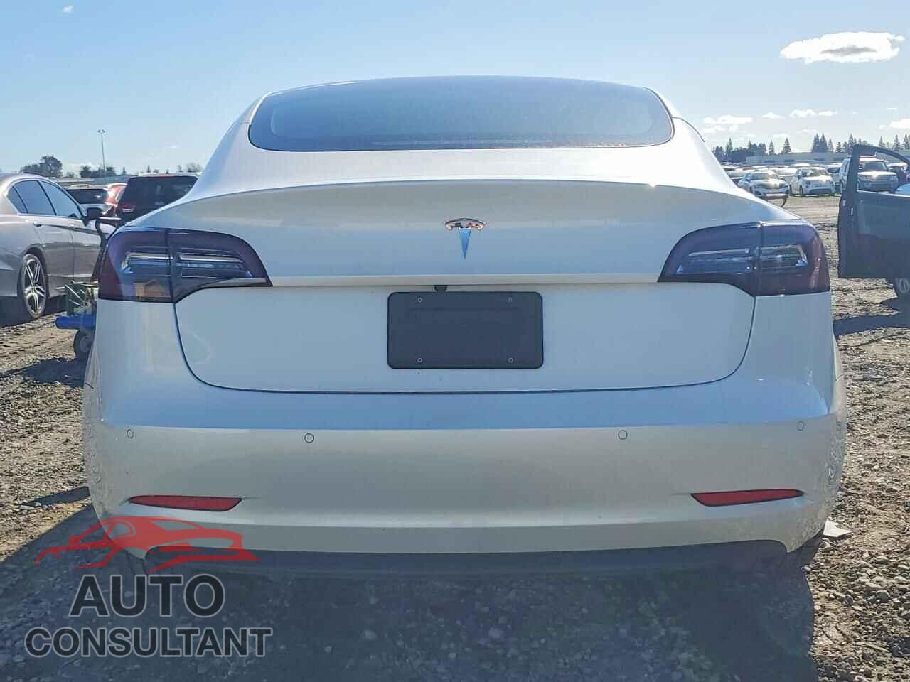 TESLA MODEL 3 2021 - 5YJ3E1EA3MF069049