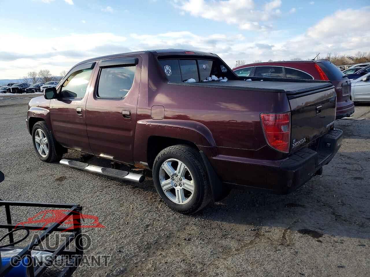 HONDA RIDGELINE 2009 - 5FPYK16589B101816